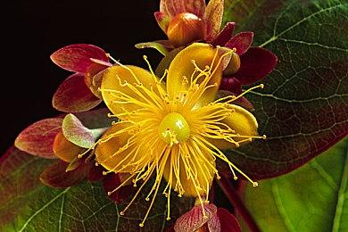 从“安魂曲”到“轮回之兽” 2026年这21款游戏不可错过